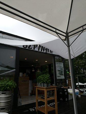 Szpinak